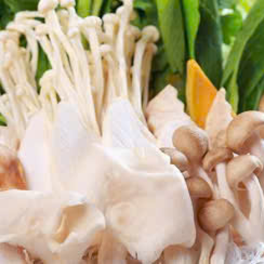 Nấm Các Loại Thêm